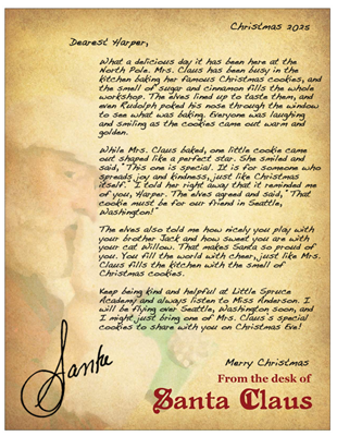 2025 Santa Special Cookie | North Pole Package